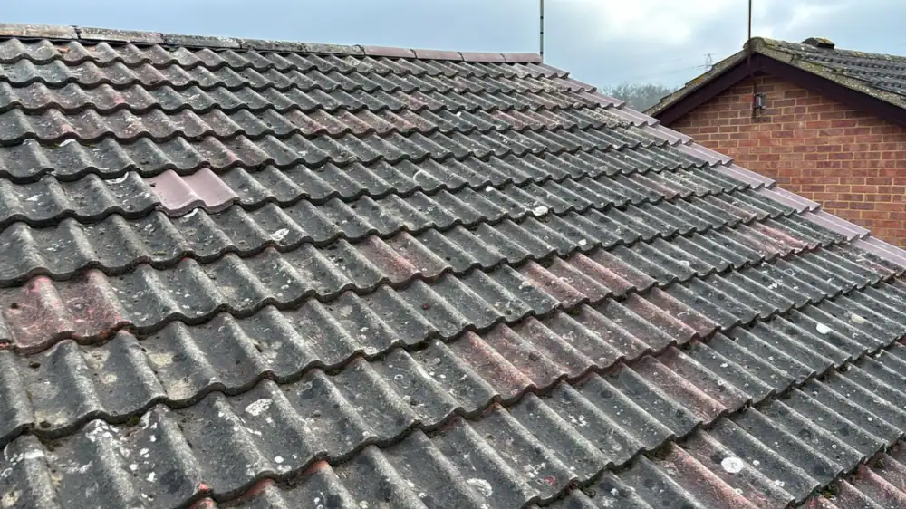 Old moss-covered tile roof before work