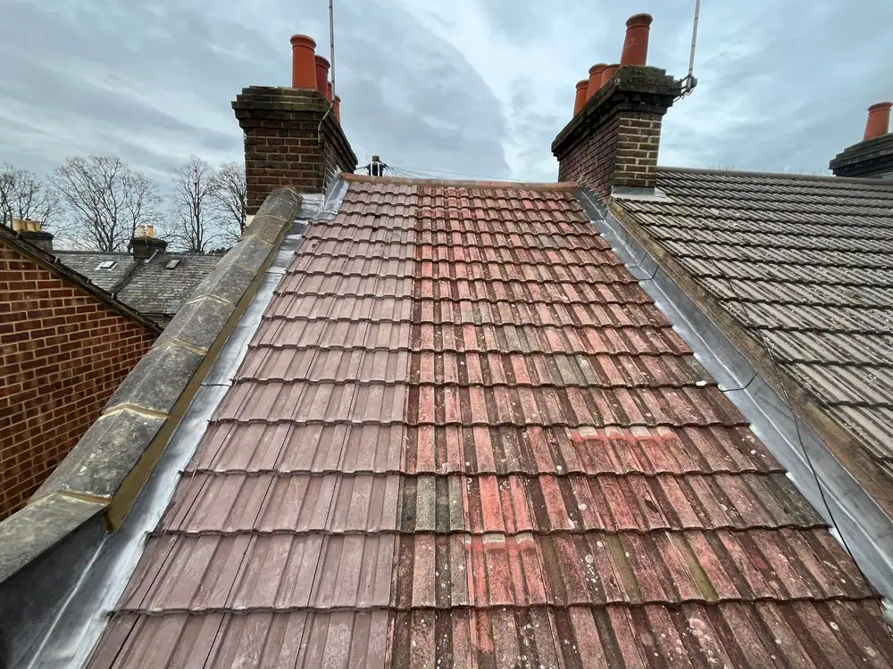 Wide view of the terrace roof before work